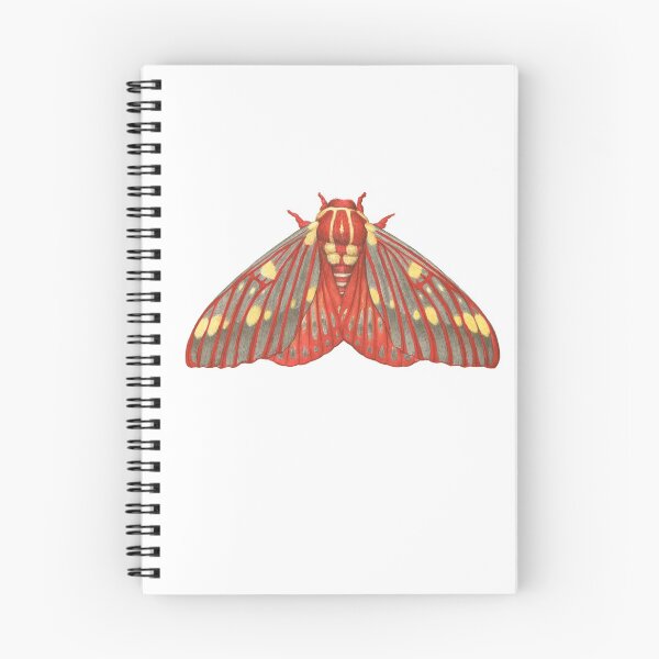 Item preview, Regal Moth (Citheronia regalis) designed and sold by JadaFitch.