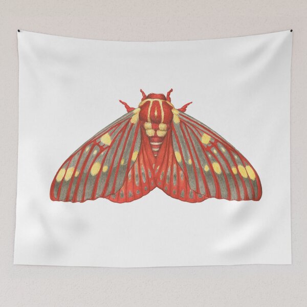 Item preview, Regal Moth (Citheronia regalis) designed and sold by JadaFitch.