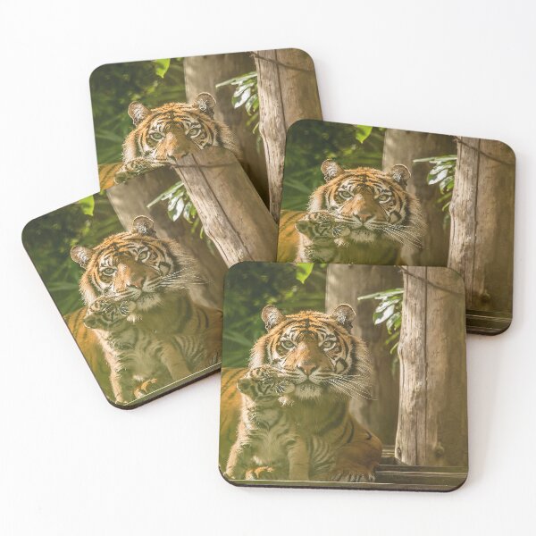 Item preview, Sumatran Tiger With Cub Kissing  designed and sold by Darren Wilkes.