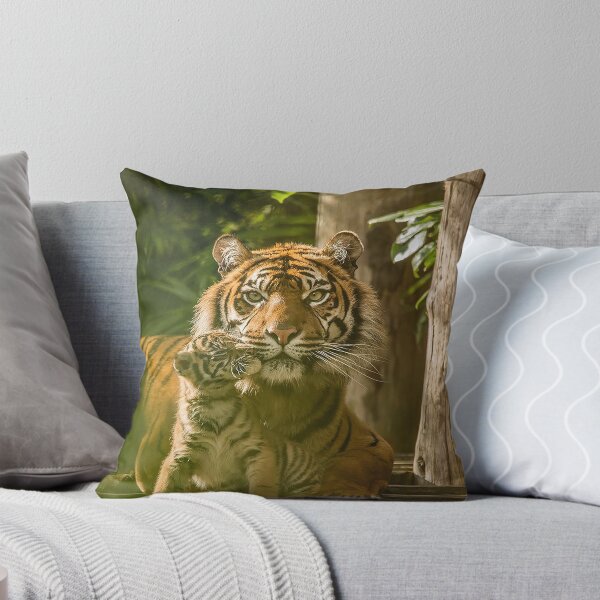 Item preview, Sumatran Tiger With Cub Kissing  designed and sold by Darren Wilkes.