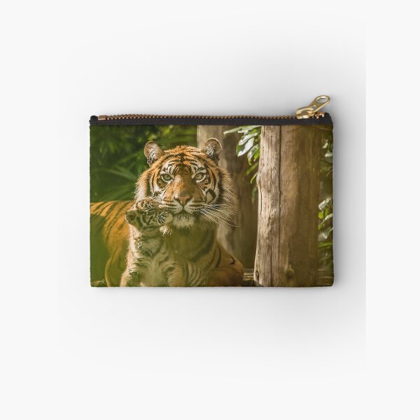Item preview, Sumatran Tiger With Cub Kissing  designed and sold by Darren Wilkes.