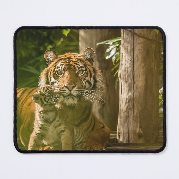 Item preview, Sumatran Tiger With Cub Kissing designed and sold by Darren Wilkes.