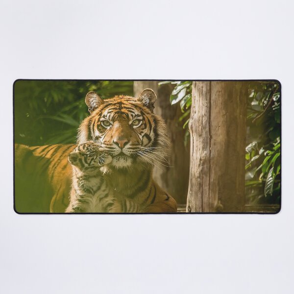 Item preview, Sumatran Tiger With Cub Kissing  designed and sold by Darren Wilkes.