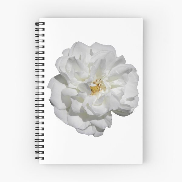 Aperçu de l'œuvre Iceberg Rose créée et vendue par VanyGo.