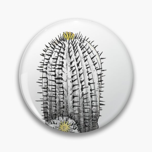 Item preview, Copiapoa cinerea drawing designed and sold by Desertorum.