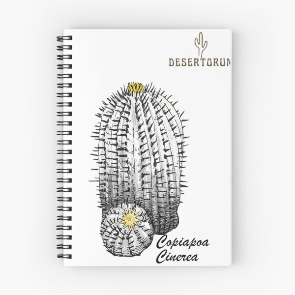 Item preview, Copiapoa cinerea drawing designed and sold by Desertorum.