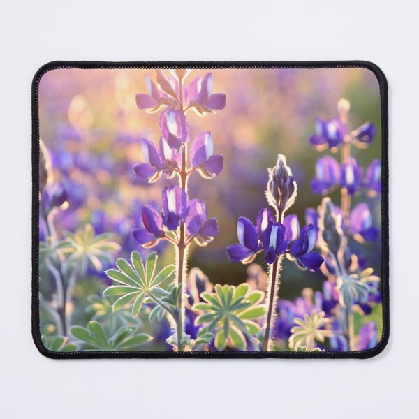 Item preview, Morning Garden designed and sold by MICKSPIKS.