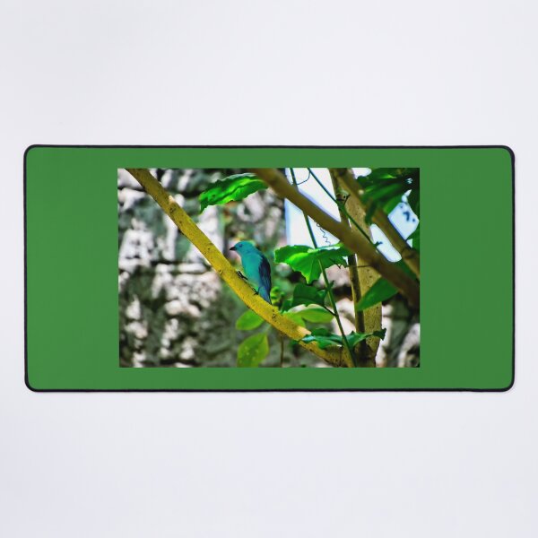 Item preview, Blue-Grey Tanagers Are A Welcome Sight designed and sold by alabca.