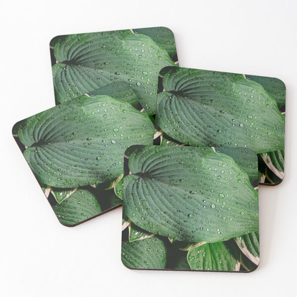Item preview, Late Night Rain Drops designed and sold by Daniel's Destinations.