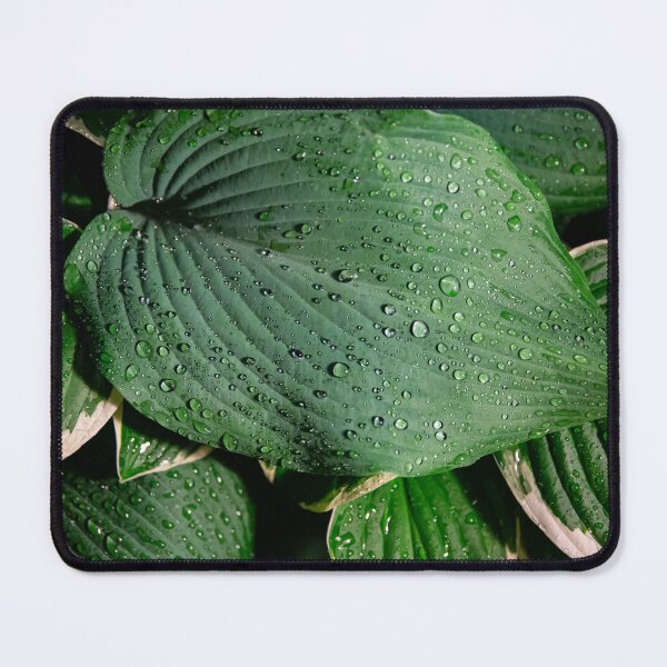 Item preview, Late Night Rain Drops designed and sold by Daniel's Destinations.