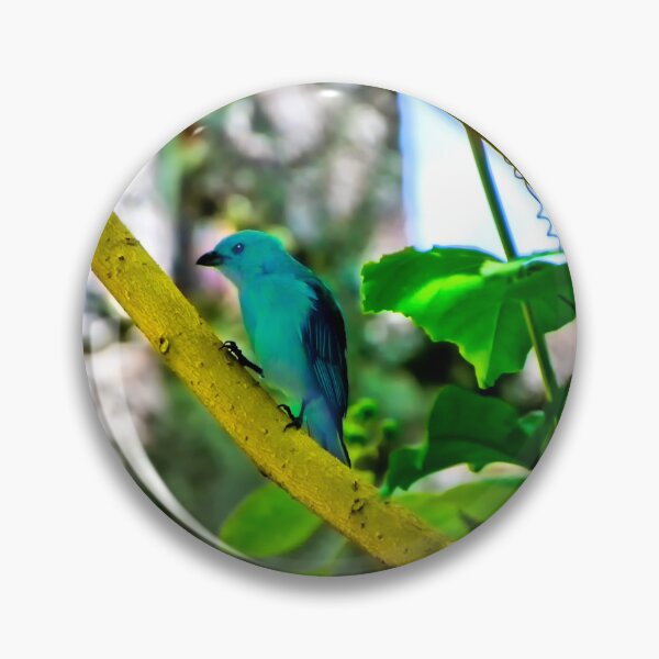 Item preview, Blue-Grey Tanagers Are A Welcome Sight designed and sold by alabca.