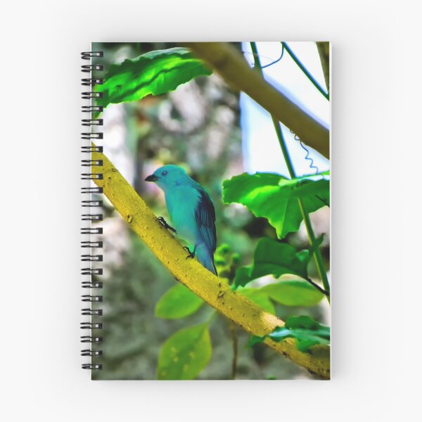 Item preview, Blue-Grey Tanagers Are A Welcome Sight designed and sold by alabca.