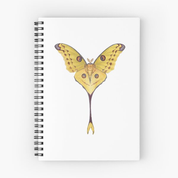 Item preview, Comet Moth (Argema mittrei) designed and sold by JadaFitch.