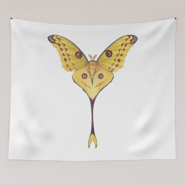 Item preview, Comet Moth (Argema mittrei) designed and sold by JadaFitch.