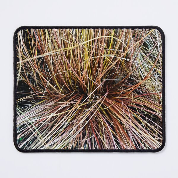 Item preview, Strands designed and sold by VelesPhoto.