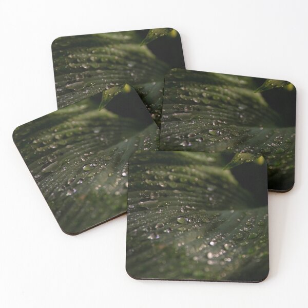 Item preview, Late Night Rain Drops 2 designed and sold by Daniel's Destinations.