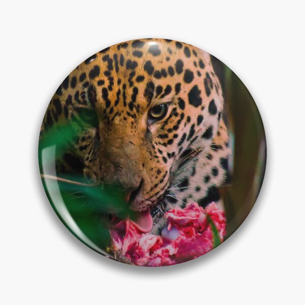 Item preview, Jaguar - panthera onca - Brazil  designed and sold by Darren Wilkes.