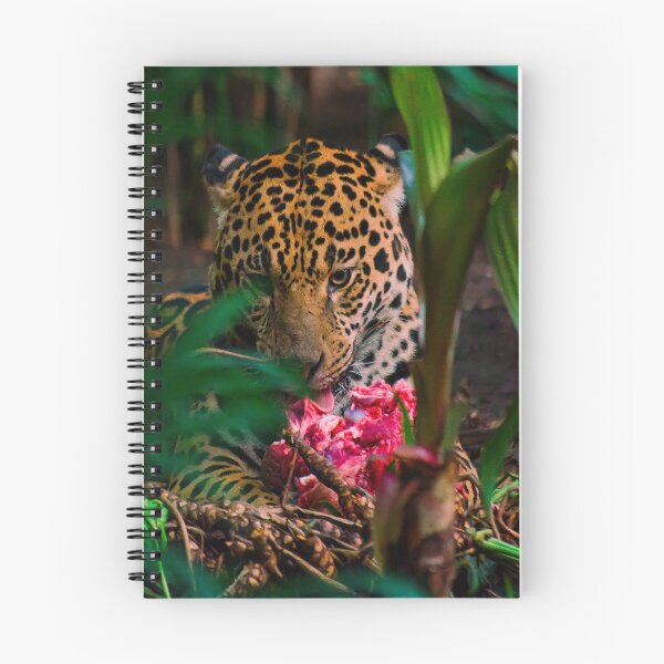 Item preview, Jaguar - panthera onca - Brazil  designed and sold by Darren Wilkes.