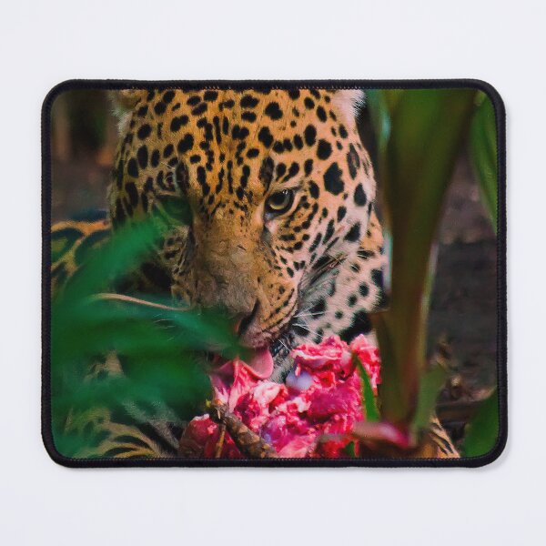 Item preview, Jaguar - panthera onca - Brazil designed and sold by Darren Wilkes.