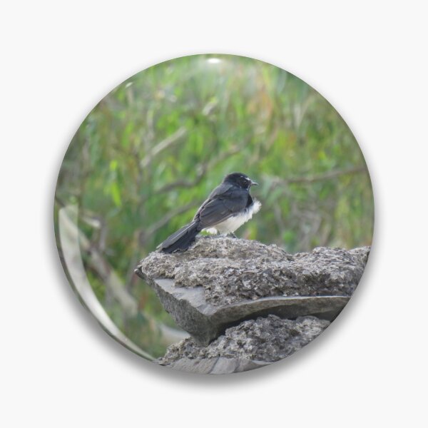 Item preview, A willie wagtail on some rocks designed and sold by greentiger1.