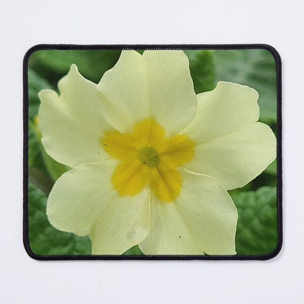 Item preview, Primrose Perfection designed and sold by AnthonyThomas.