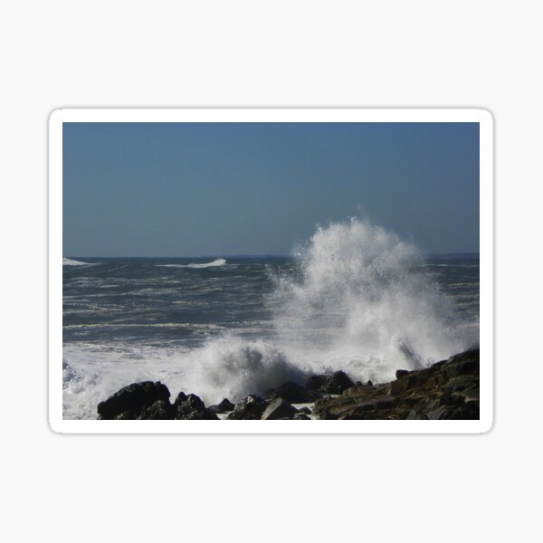 Wild Waves Sticker