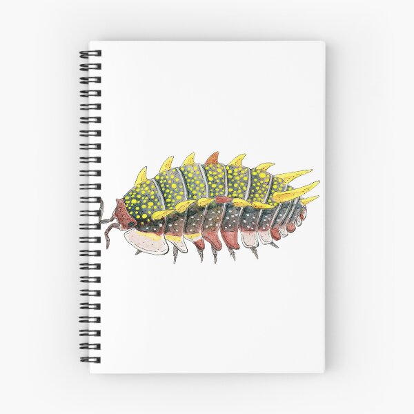 Item preview, Pseudarmadillo gillianus Isopod designed and sold by paintedpansy.