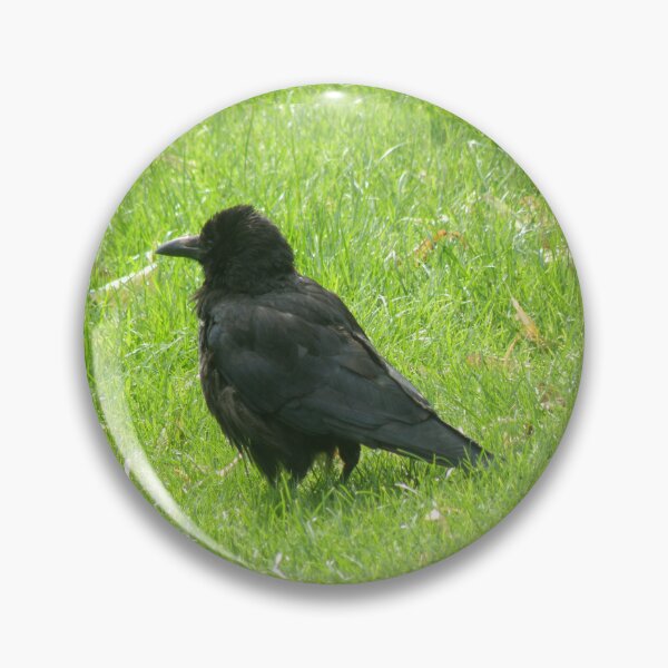 Item preview, Bad Hair Day Crow Photograph designed and sold by naturegallery.