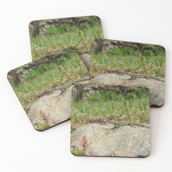 Item preview, A lizard basking in the sun designed and sold by Mel Moreno.