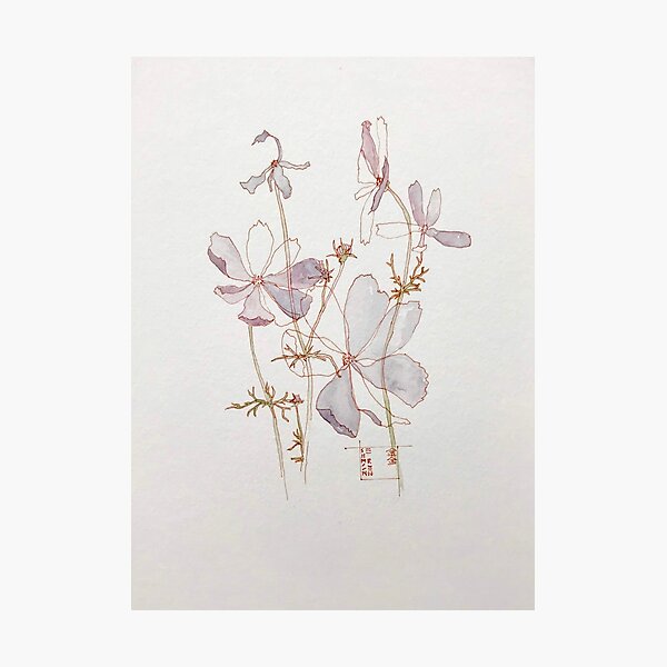 Item preview, Cosmos designed and sold by Simoneren.