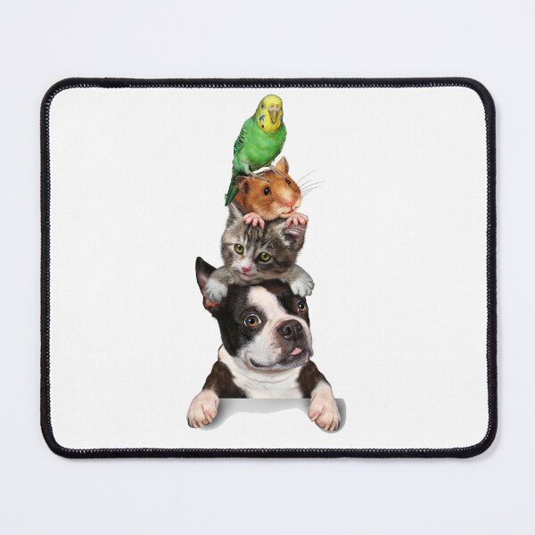 Item preview, Pet sitting Hamster Dog Kitten And Parrot designed and sold by Gile-Shop.
