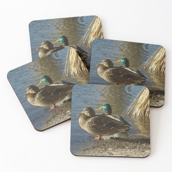 Item preview, Mallards designed and sold by PatGoltz.