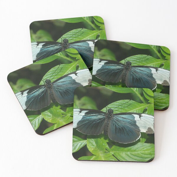 Item preview, Sapho Longwing designed and sold by PatGoltz.