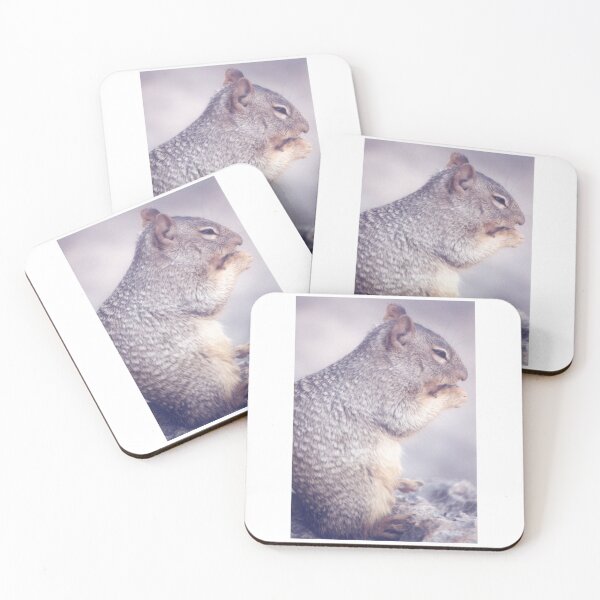 Item preview, Squirrel at Montezuma's Well designed and sold by PatGoltz.
