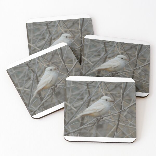 Item preview, Leucistic Vermilion Flycatcher designed and sold by PatGoltz.