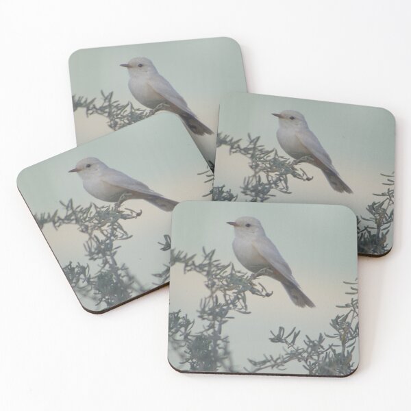 Item preview, Leucistic Vermilion Flycatcher 2 designed and sold by PatGoltz.