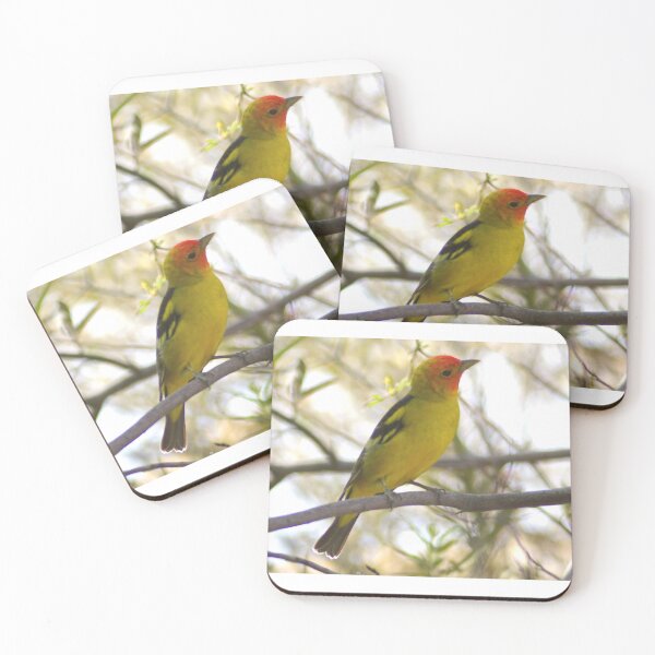 Item preview, Western Tanager designed and sold by PatGoltz.