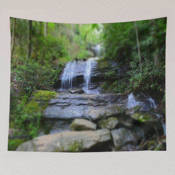 Item preview, Desoto Falls (Lumpkin County Georgia) designed and sold by Craig Kauzmann.