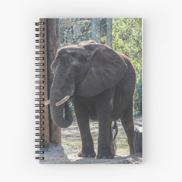 Item preview, Elephant designed and sold by Bob Hardy.