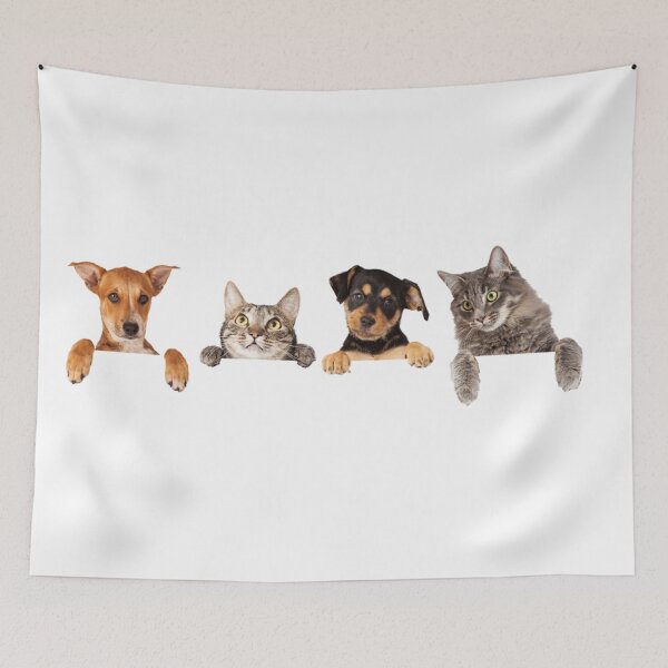 Item preview, Dog–cat relationship  designed and sold by Gile-Shop.
