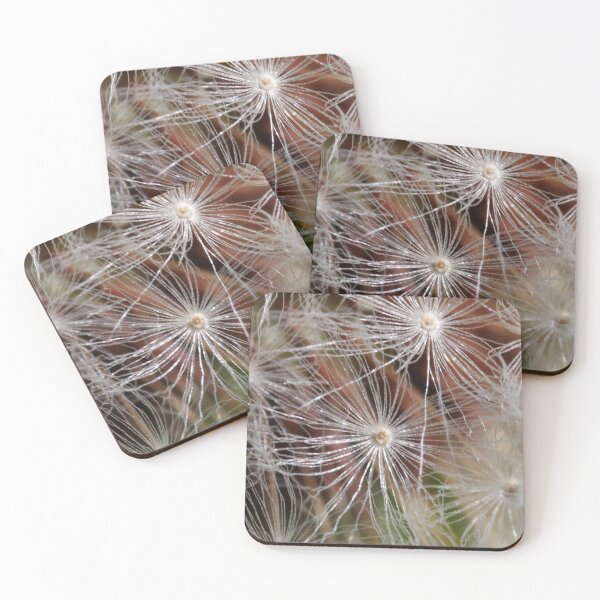 Item preview, Dandelion Pappi 2 designed and sold by SeeGodAroundUs.