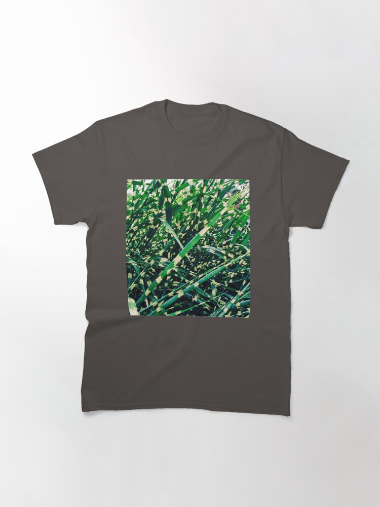 Thumbnail 3 of 7, Classic T-Shirt, Landscaper Gift - Zebra Grass designed and sold by OneDayArt.