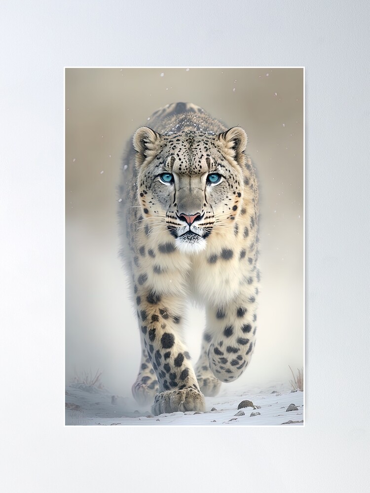 Amazon.com: WLNTDOLA 1:6 Scale Snow Leopard Model Animal