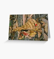Forest Floor Greeting Card