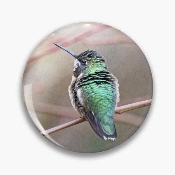 Item preview, Tranquil Hummer designed and sold by VeganBear.