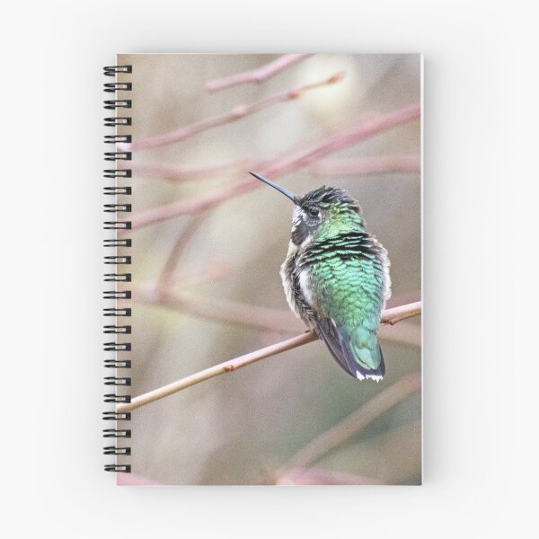 Item preview, Tranquil Hummer designed and sold by VeganBear.