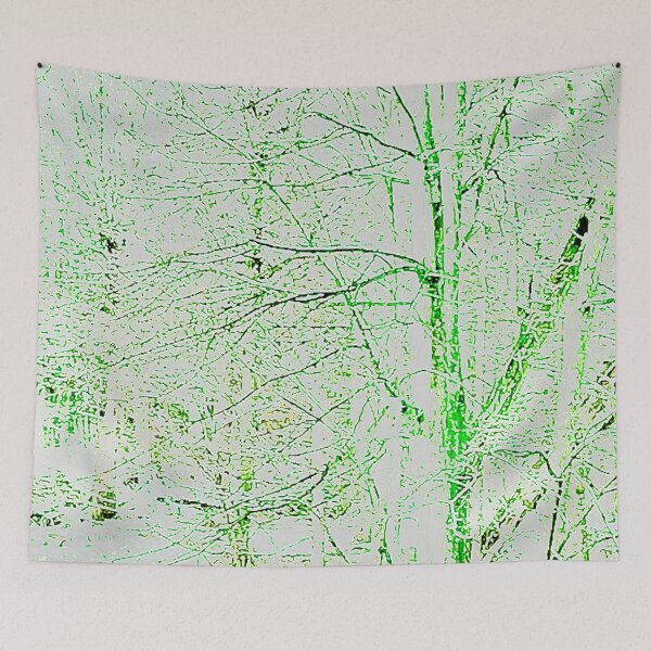 Item preview, Forest in High Contrast Setting designed and sold by CJRPics.