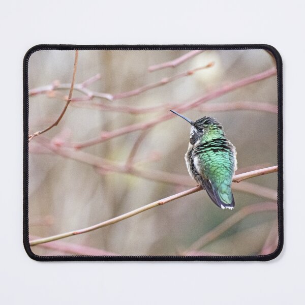 Item preview, Tranquil Hummer designed and sold by VeganBear.
