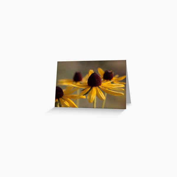 Everything You Want Greeting Card