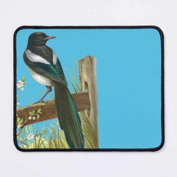 Item preview, Magpie sitting on a fence, vintage chromolithograph illustration. designed and sold by Luggnagg.